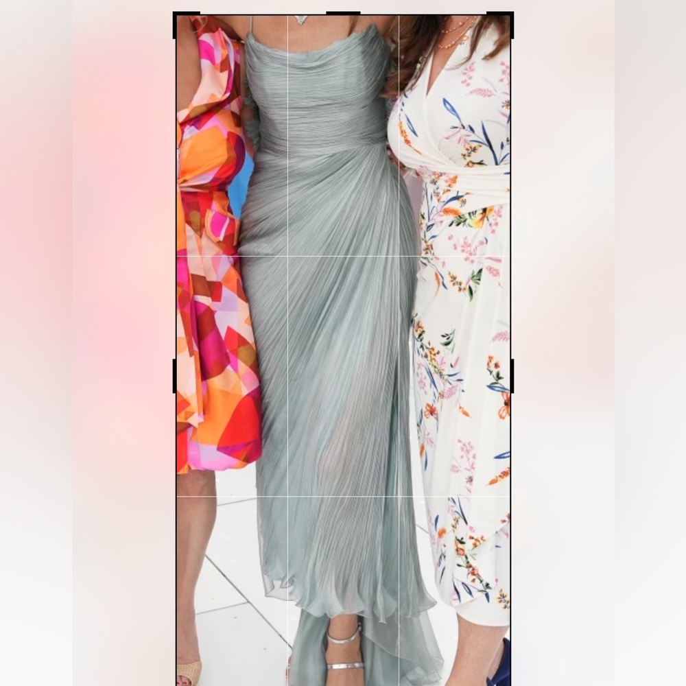 Maria Lucia Hohan Siona Pleated Dress - Picture 11 of 12